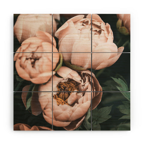 Sisi and Seb Pastel Peonies Wood Wall Mural
