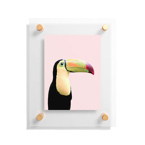 Sisi and Seb Pastel toucan Floating Acrylic Print
