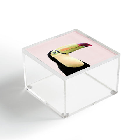 Sisi and Seb Pastel toucan Acrylic Box