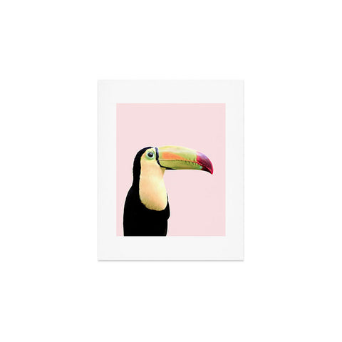 Sisi and Seb Pastel toucan Art Print