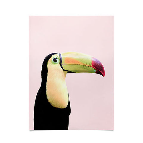 Sisi and Seb Pastel toucan Poster