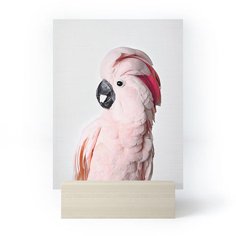 Sisi and Seb Pink Cockatoo Mini Art Print