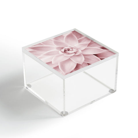 Sisi and Seb Pink Succulent Acrylic Box