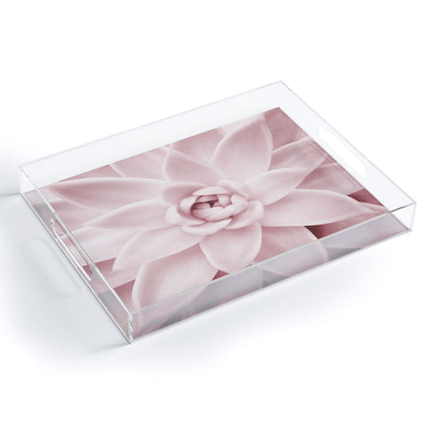 Sisi and Seb Pink Succulent Acrylic Tray