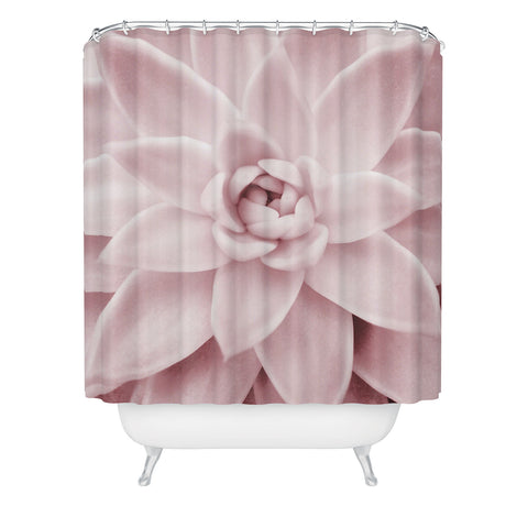 Sisi and Seb Pink Succulent Shower Curtain