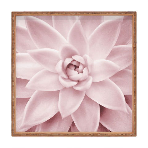 Sisi and Seb Pink Succulent Square Tray
