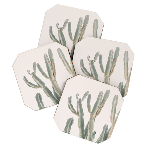 Sisi and Seb Sunrise Cactus Coaster Set