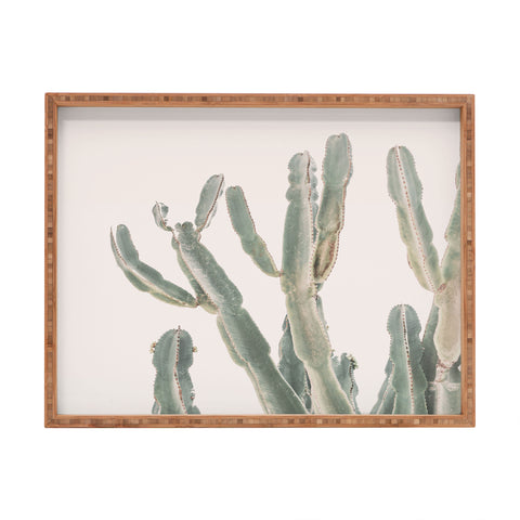 Sisi and Seb Sunrise Cactus Rectangular Tray