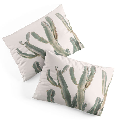 Sisi and Seb Sunrise Cactus Pillow Shams