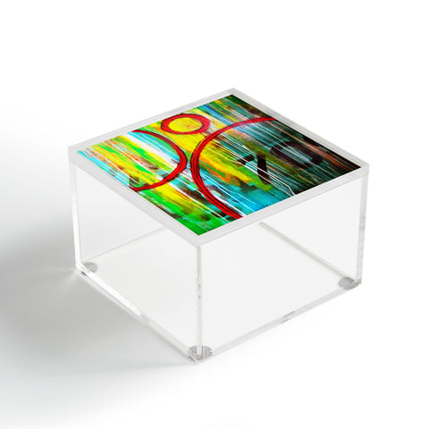 Sophia Buddenhagen 617 Acrylic Box