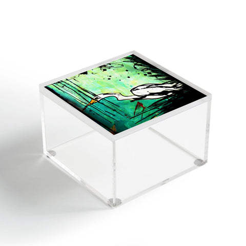 Sophia Buddenhagen Green And White Bird Acrylic Box