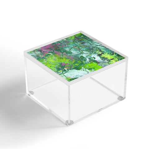 Sophia Buddenhagen Green Energy Acrylic Box