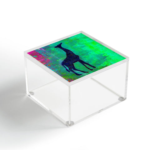 Sophia Buddenhagen Messenger Acrylic Box