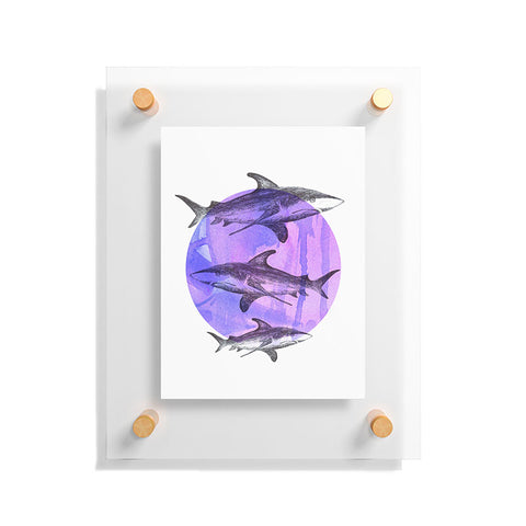 Sophia Buddenhagen Sharks Floating Acrylic Print