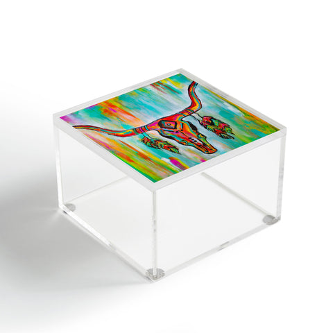Sophia Buddenhagen Texas Strong Acrylic Box