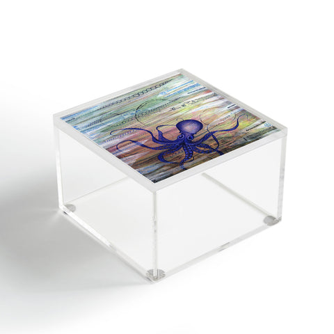 Sophia Buddenhagen Toxic Acrylic Box