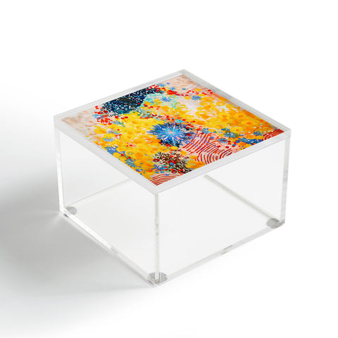 Stephanie Corfee 3 Ring Circus Acrylic Box