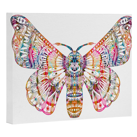 Stephanie Corfee Artsy Moth Art Canvas