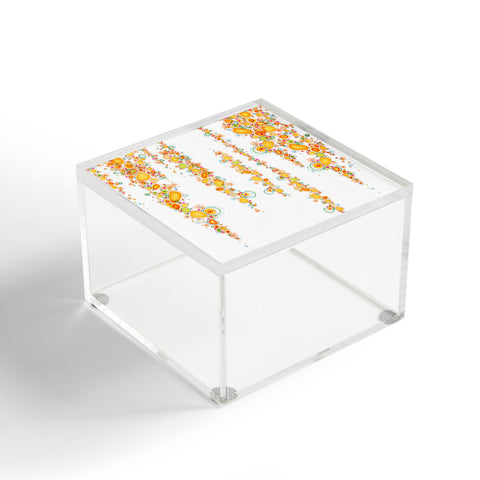 Stephanie Corfee Bubbly Babies Acrylic Box