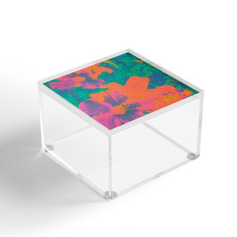 SunshineCanteen Hawaii 1965 Acrylic Box