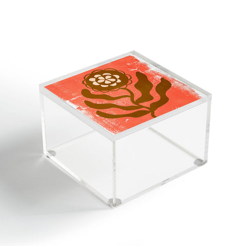 SunshineCanteen modflower Acrylic Box