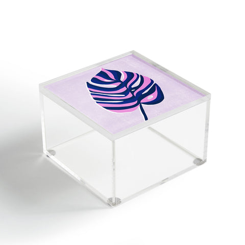SunshineCanteen palama Acrylic Box