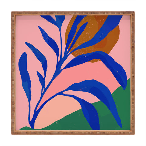 Superblooming Blue Plant In Spring Square Tray