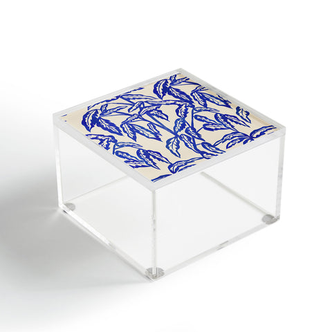 Superblooming Minimal Blue Plant Acrylic Box