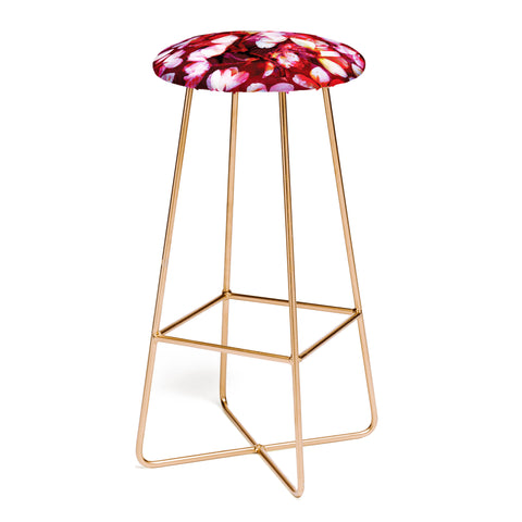 Susanne Kasielke Cherry Blossoms Red Bar Stool