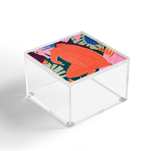 Tasiania Island noon Acrylic Box