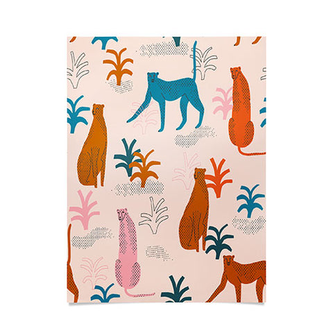 Tasiania Rainbow cheetahs Poster