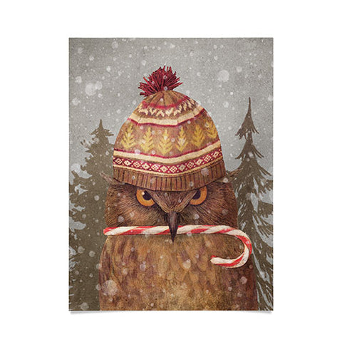 Terry Fan Christmas Owl Poster