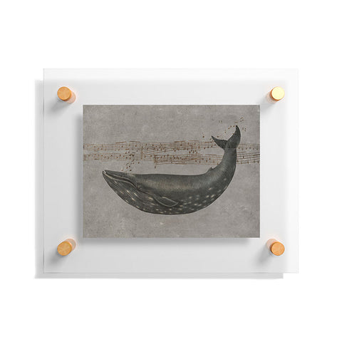 Terry Fan Whale Song Floating Acrylic Print