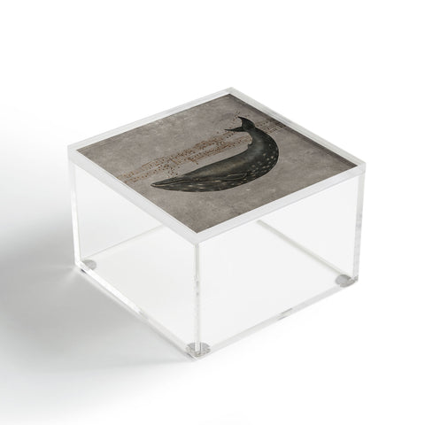 Terry Fan Whale Song Acrylic Box