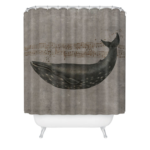 Terry Fan Whale Song Shower Curtain