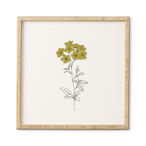 The Colour Study Botanical Illustration Iona Framed Wall Art