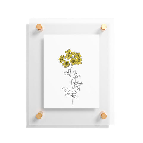 The Colour Study Botanical Illustration Iona Floating Acrylic Print