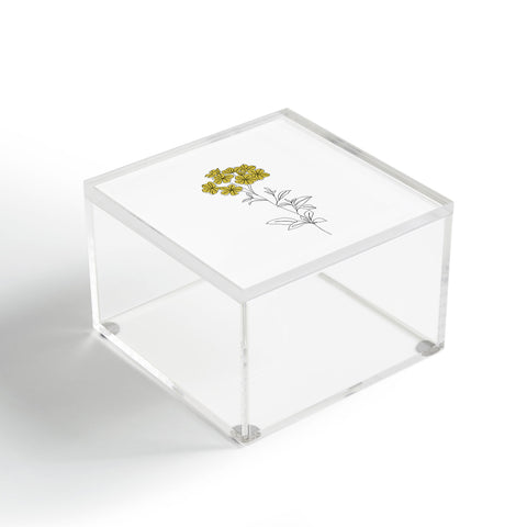 The Colour Study Botanical Illustration Iona Acrylic Box