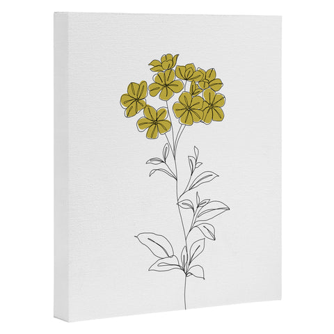 The Colour Study Botanical Illustration Iona Art Canvas