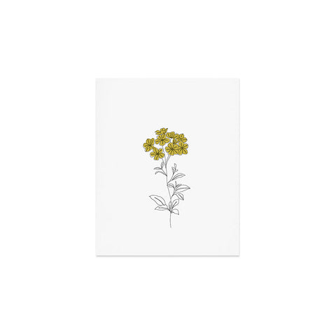 The Colour Study Botanical Illustration Iona Art Print
