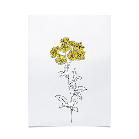The Colour Study Botanical Illustration Iona Poster
