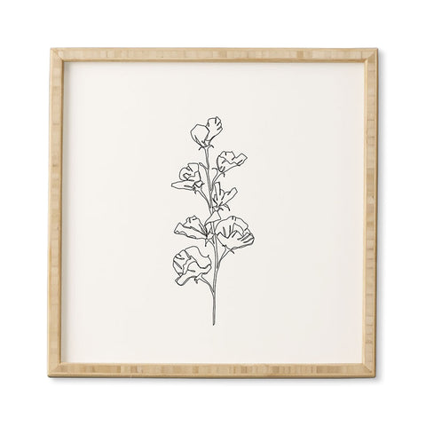The Colour Study Cotton flower illustration Framed Wall Art