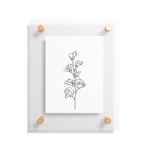 The Colour Study Cotton flower illustration Floating Acrylic Print