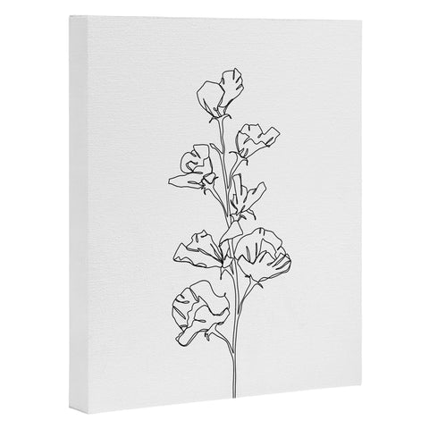 The Colour Study Cotton flower illustration Art Canvas
