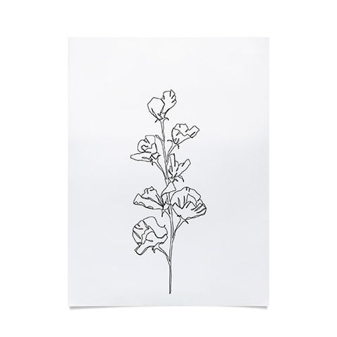 The Colour Study Cotton flower illustration Poster