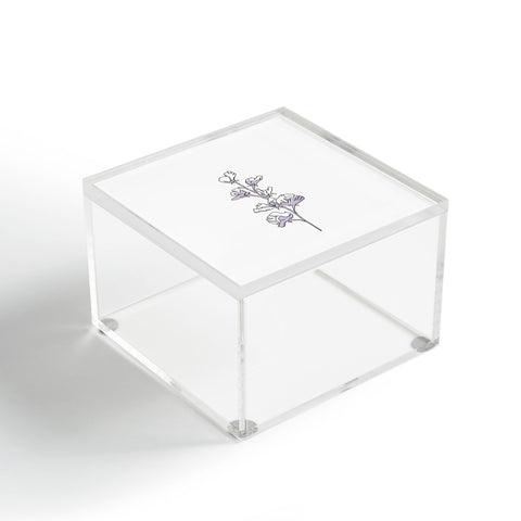 The Colour Study Lilac Cotton Flower Acrylic Box