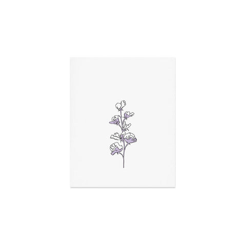 The Colour Study Lilac Cotton Flower Art Print