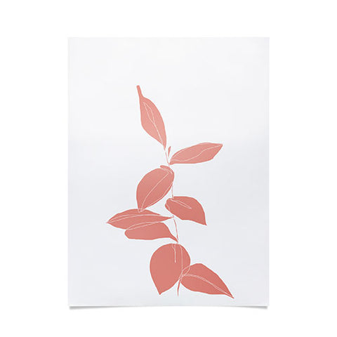The Colour Study Plant Drawing Berry Pink Poster
