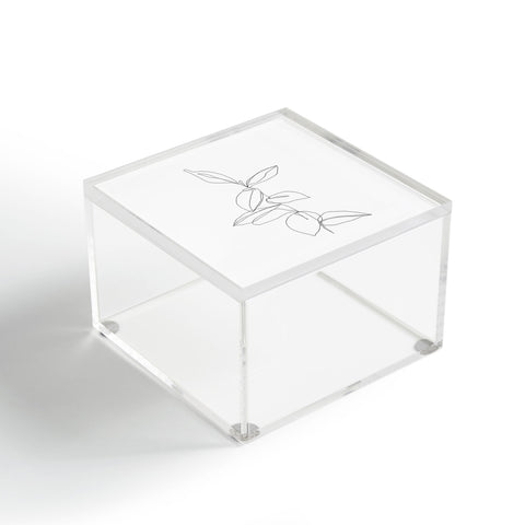 The Colour Study Plant illustration Berry Acrylic Box