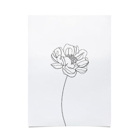 The Colour Study Single flower drawing Hazel Poster